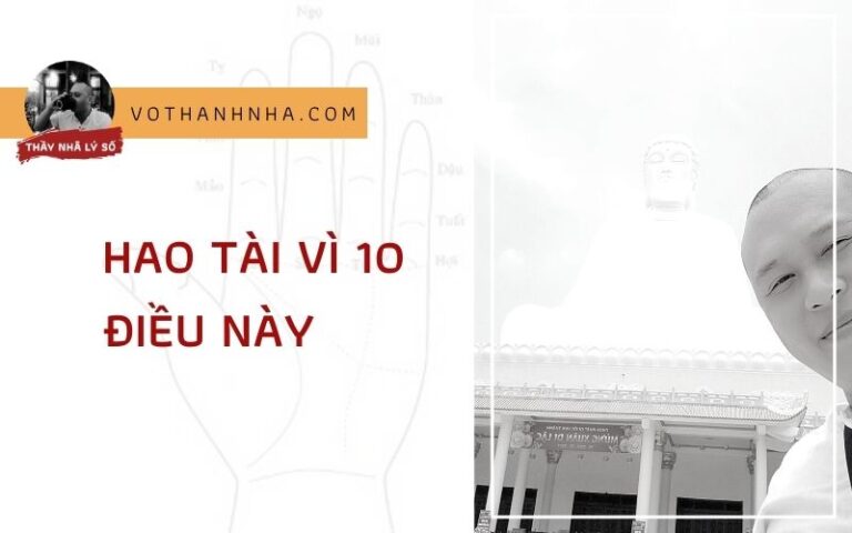 Hao Tài Vì 10 Điều Này