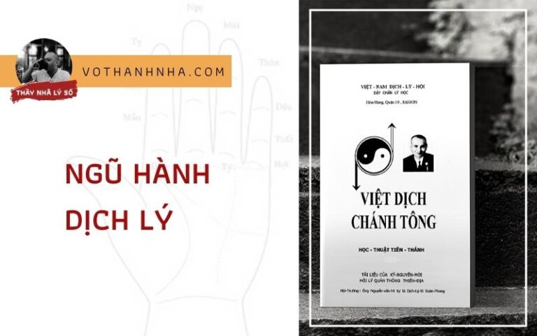 Ngũ Hành Dịch Lý – Âm Dương Với CÁC THỂ HIỆN