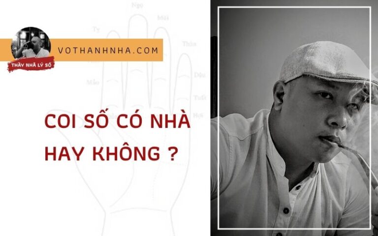 Coi Số Có Nhà Cửa Gì Không?