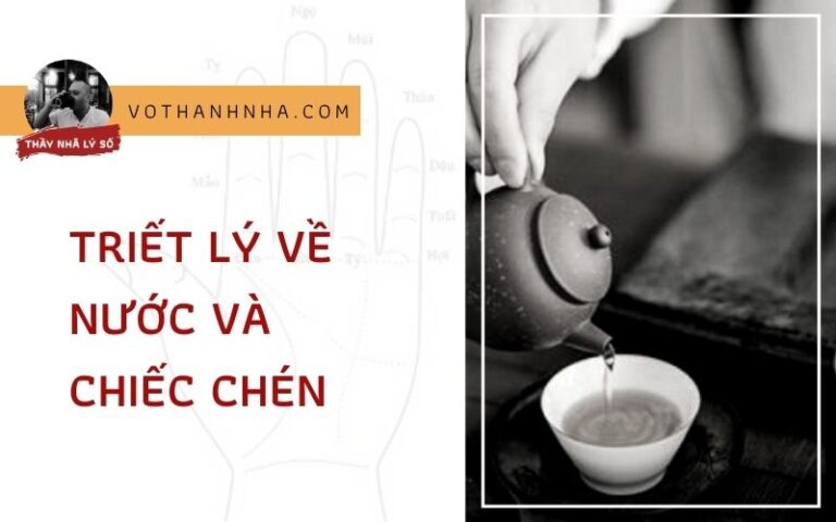 Nguồn Gốc Phiền Não: Triết Lý Về Nước Và Chiếc Chén