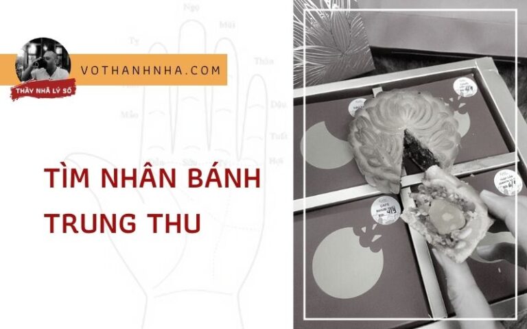 Tìm nhân bánh trung thu – Nhờ dịch tượng Hàm Tuỵ
