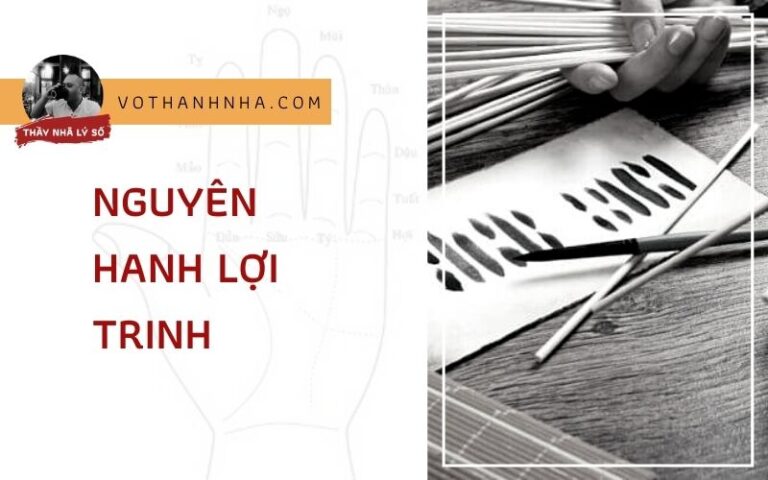 NGUYÊN HANH LỢI TRINH đã là 1 chu kì tuần hoàn sinh hóa liên tục