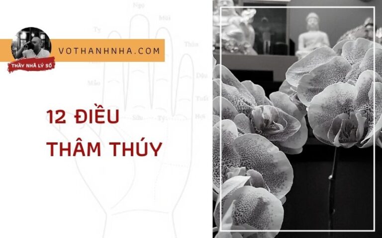 Ngẫm Về 12 Điều Thâm Thúy
