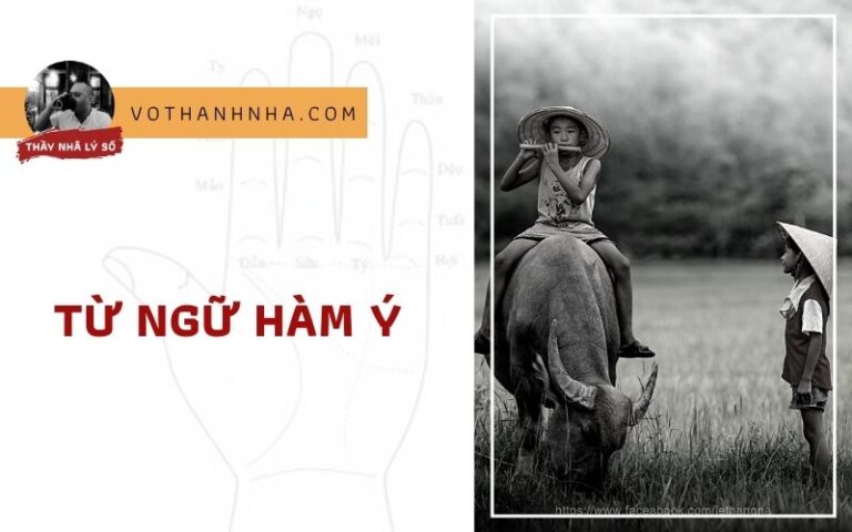 Hàm Ý Khen Chê Con Người Trong Thành Ngữ tiếng Việt