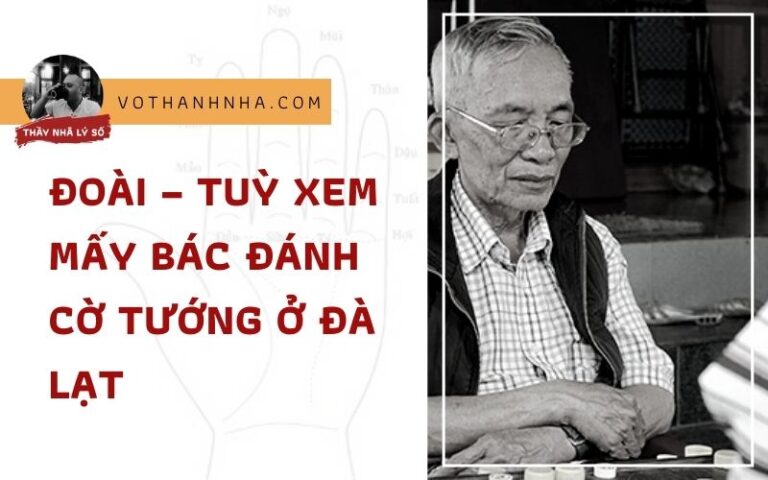 Đoài – Tuỳ Xem Mấy Bác Đánh Cờ Tướng Ở Đà Lạt