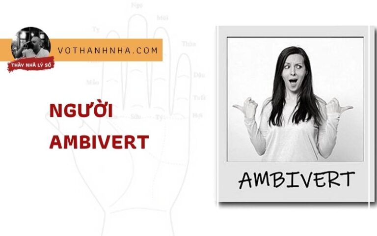 Người Ambivert Vừa Hướng Nội Vừa Hướng Ngoại