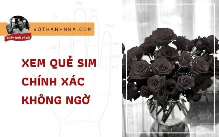 Xem Quẻ Sim Chính Xác Không Ngờ