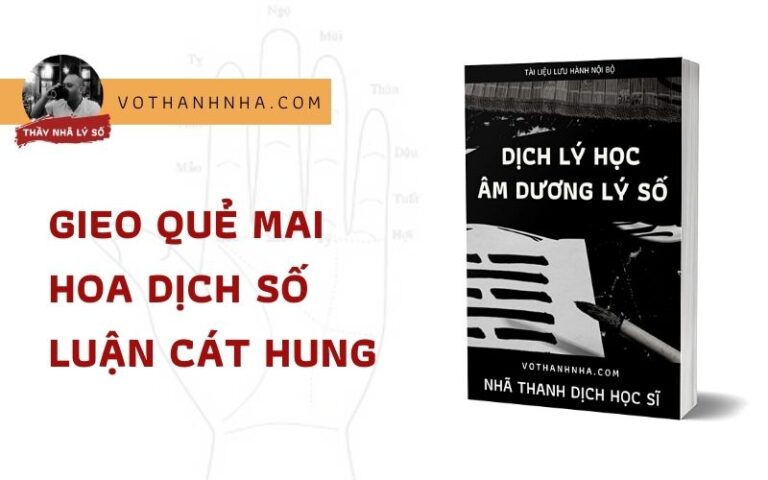 Gieo Quẻ Mai Hoa Dịch Số Luận Cát Hung