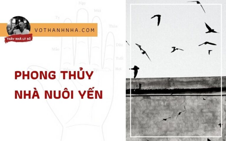 Phong Thủy Nhà Nuôi Yến