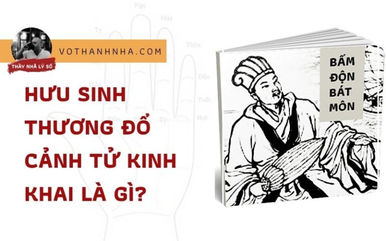 Hưu Sinh Thương Đổ Cảnh Tử Kinh Khai Là Gì?