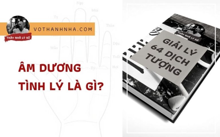 Âm Dương Tình Lý là gì?