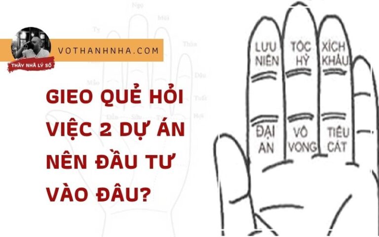 Gieo Quẻ Hỏi Việc 2 Dự Án Nên Đầu Tư Vào Đâu?