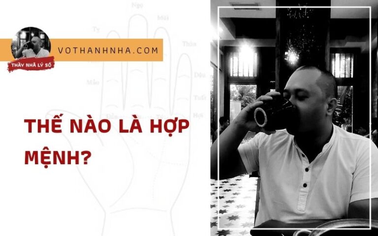 Thế Nào Là Hợp Mệnh? Hiểu Sai Về Hợp Mệnh