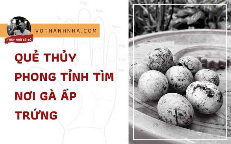 Luận Quẻ Thủy Phong Tỉnh Tìm Trứng Gà