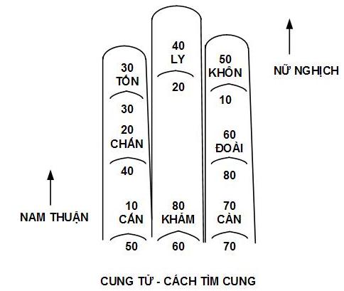 8 cung người chết