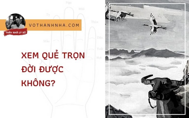 Xem Quẻ Trọn Đời Được Không?