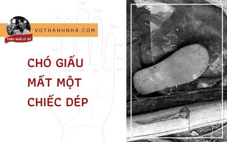 Luận Quẻ Sơn Lôi Di Tìm Lại Chiếc Dép Bị Chó Giấu