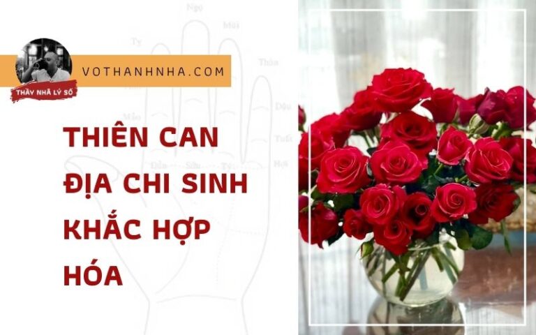 Thiên Can Địa Chi Sinh Khắc Hợp Hóa