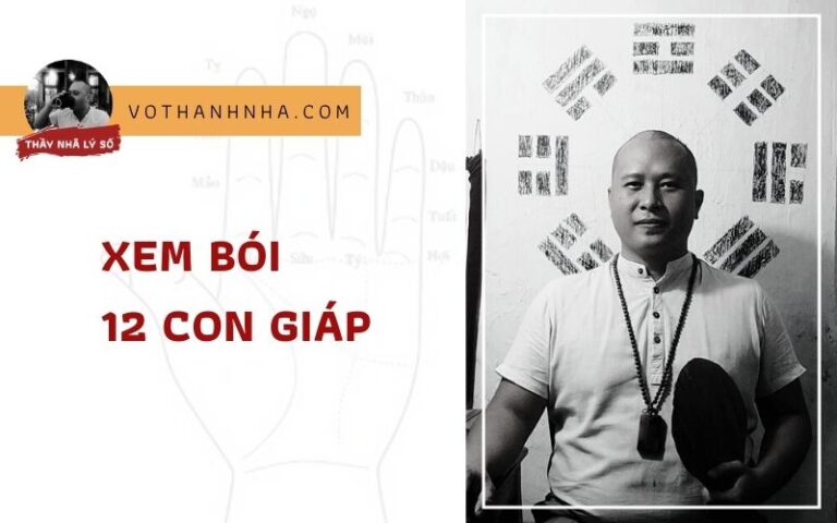 Xem Bói 12 Con Giáp