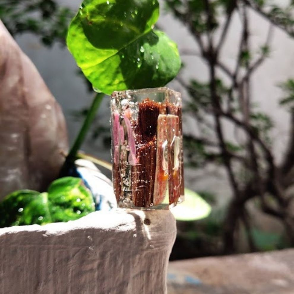 bách niên dưỡng mệnh