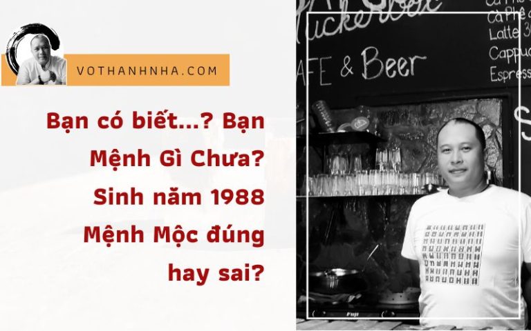 Bạn có biết…? Bạn Mệnh Gì Chưa? Sinh năm 1988 Mệnh Mộc đúng hay sai?