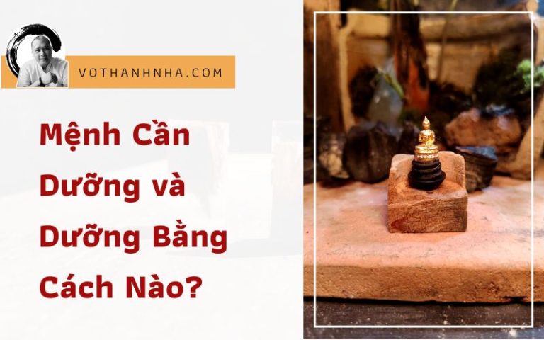 Mệnh Cần Dưỡng và Dưỡng Bằng Cách Nào?